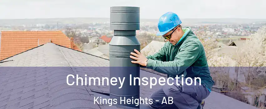  Chimney Inspection Kings Heights - AB