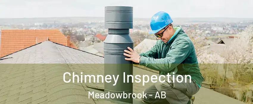  Chimney Inspection Meadowbrook - AB