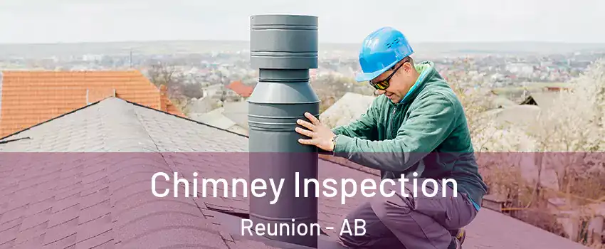  Chimney Inspection Reunion - AB
