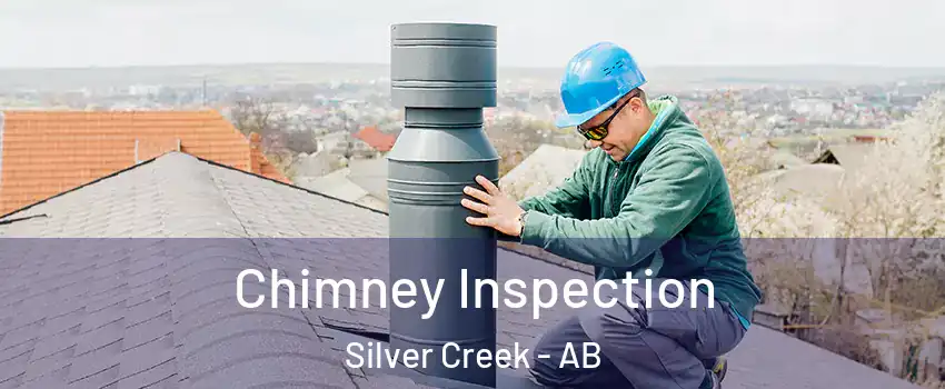  Chimney Inspection Silver Creek - AB