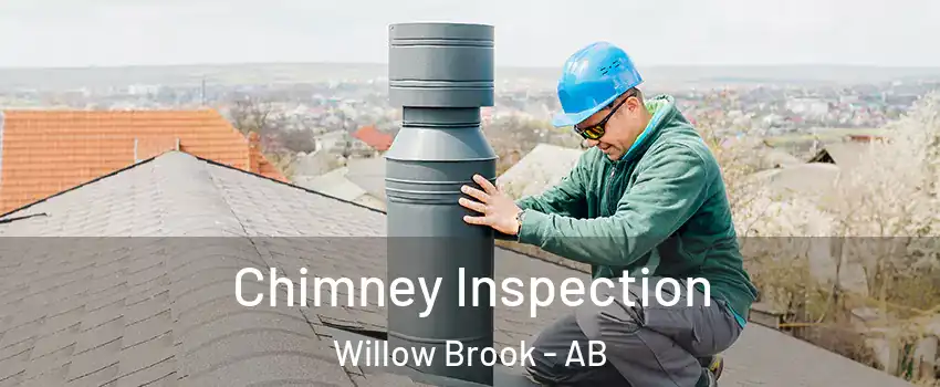  Chimney Inspection Willow Brook - AB