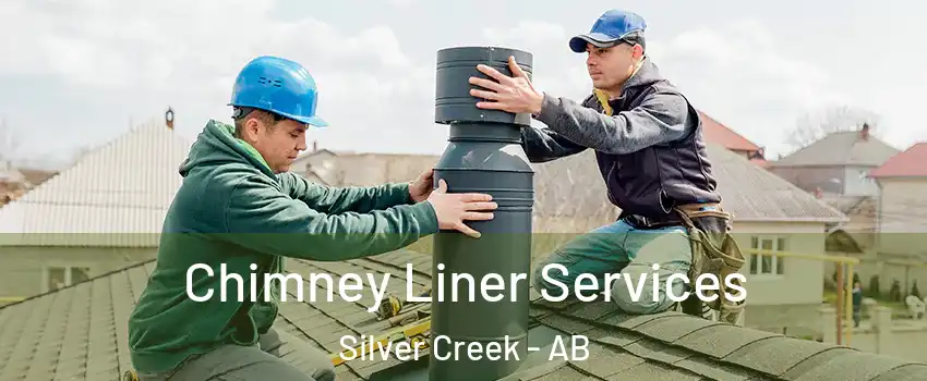  Chimney Liner Services Silver Creek - AB