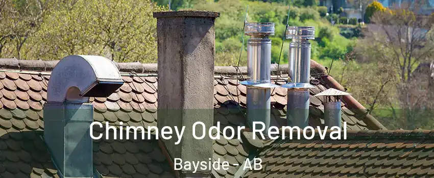  Chimney Odor Removal Bayside - AB
