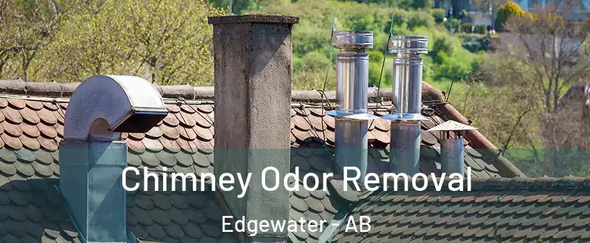  Chimney Odor Removal Edgewater - AB