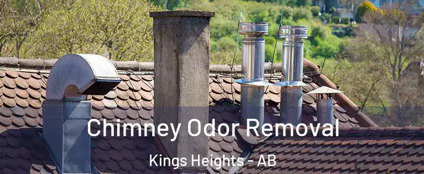  Chimney Odor Removal Kings Heights - AB