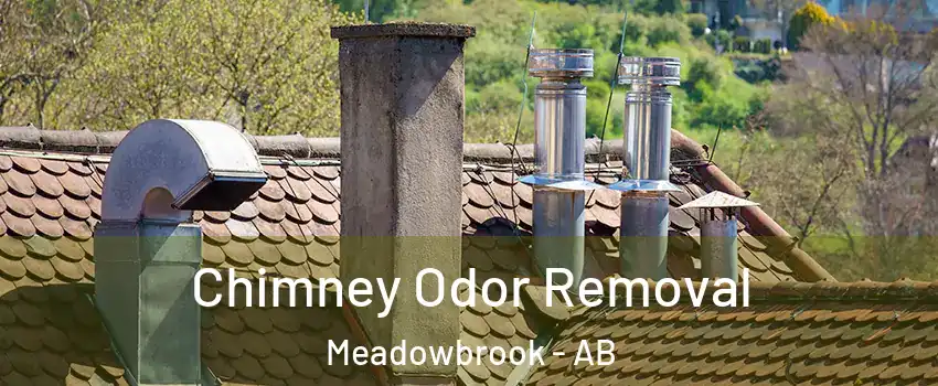  Chimney Odor Removal Meadowbrook - AB