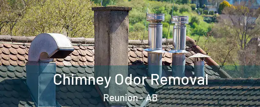  Chimney Odor Removal Reunion - AB