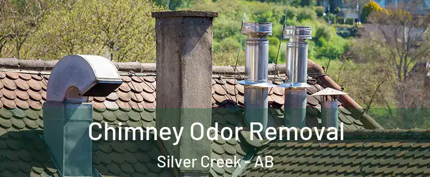  Chimney Odor Removal Silver Creek - AB