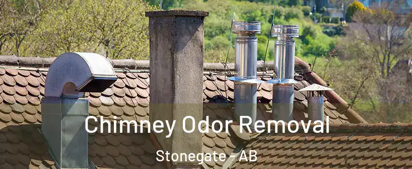  Chimney Odor Removal Stonegate - AB