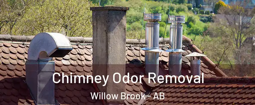  Chimney Odor Removal Willow Brook - AB