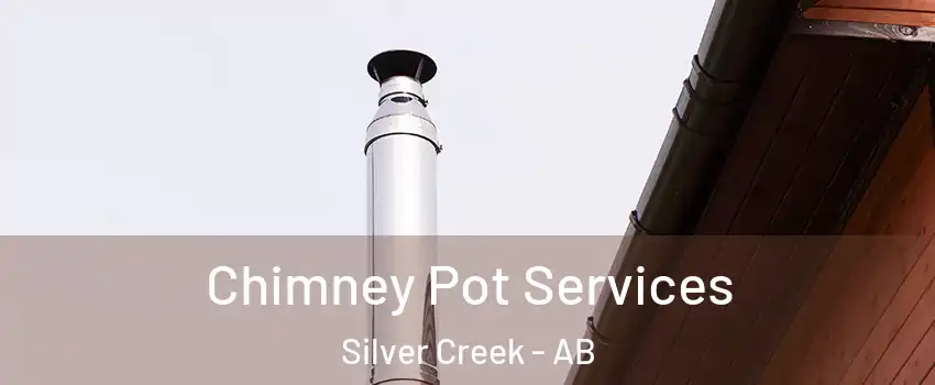  Chimney Pot Services Silver Creek - AB