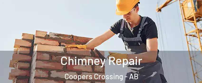  Chimney Repair Coopers Crossing - AB