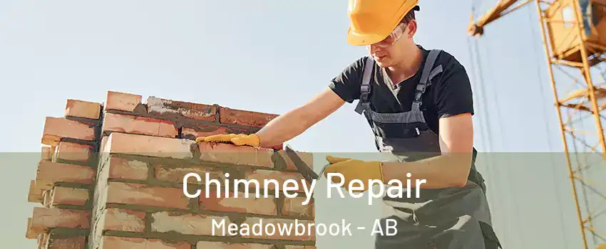 Chimney Repair Meadowbrook - AB