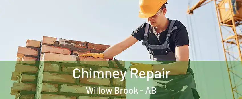  Chimney Repair Willow Brook - AB