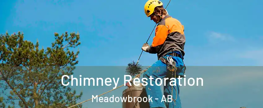  Chimney Restoration Meadowbrook - AB