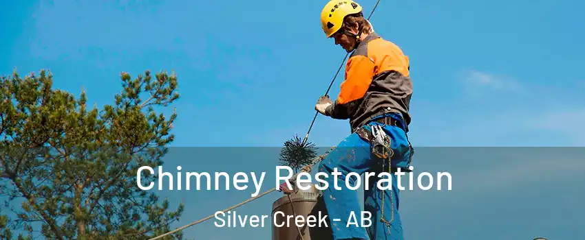  Chimney Restoration Silver Creek - AB