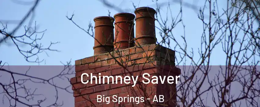  Chimney Saver Big Springs - AB