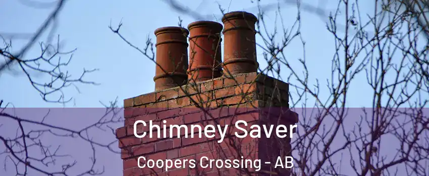  Chimney Saver Coopers Crossing - AB