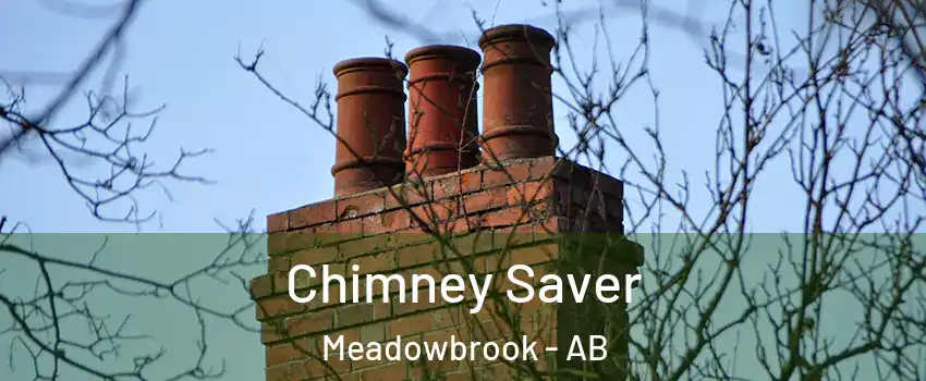  Chimney Saver Meadowbrook - AB