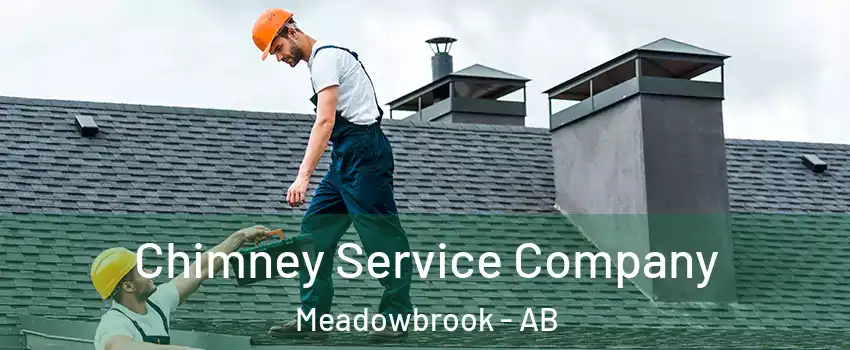  Chimney Service Company Meadowbrook - AB