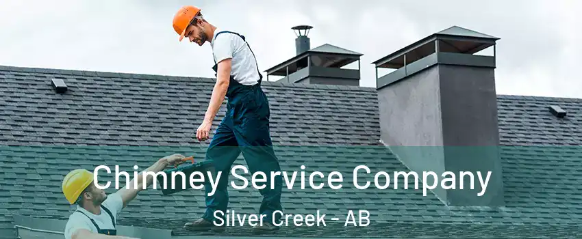  Chimney Service Company Silver Creek - AB