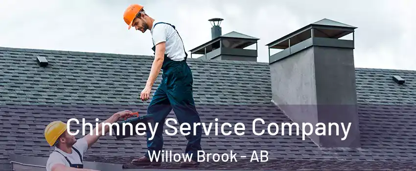  Chimney Service Company Willow Brook - AB