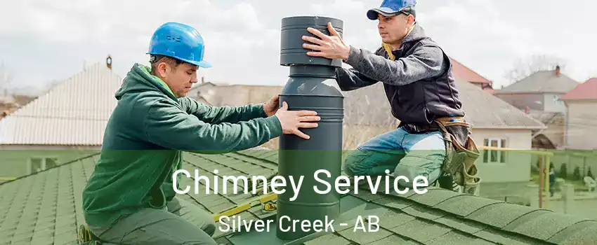  Chimney Service Silver Creek - AB