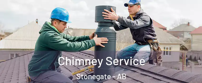  Chimney Service Stonegate - AB