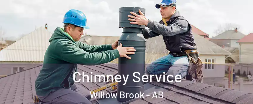  Chimney Service Willow Brook - AB
