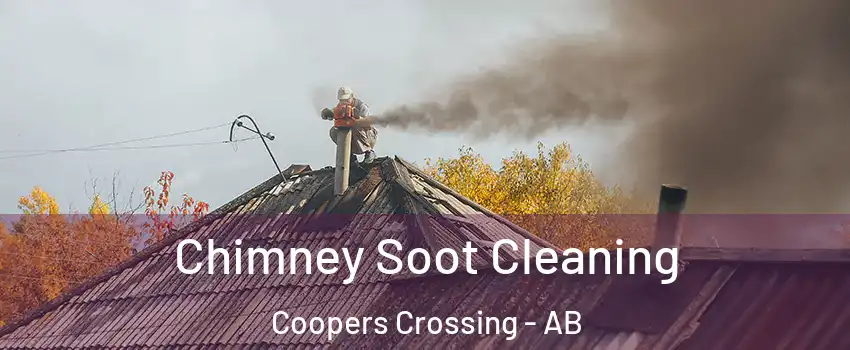  Chimney Soot Cleaning Coopers Crossing - AB