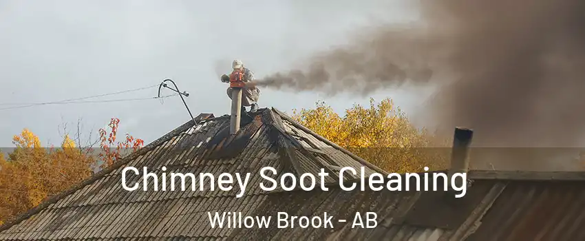  Chimney Soot Cleaning Willow Brook - AB