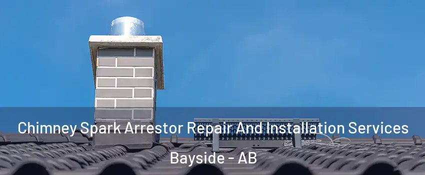  Chimney Spark Arrestor Repair And Installation Services Bayside - AB
