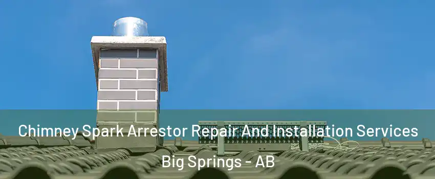  Chimney Spark Arrestor Repair And Installation Services Big Springs - AB
