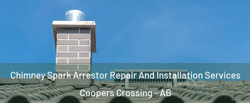 Chimney Spark Arrestor Repair And Installation Services Coopers Crossing - AB
