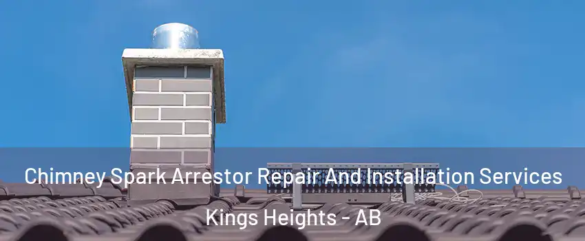  Chimney Spark Arrestor Repair And Installation Services Kings Heights - AB