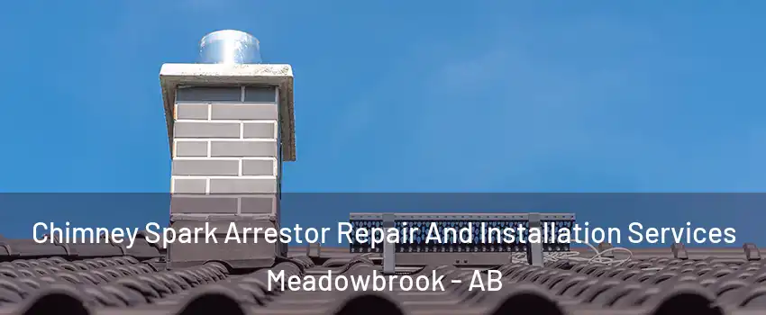  Chimney Spark Arrestor Repair And Installation Services Meadowbrook - AB