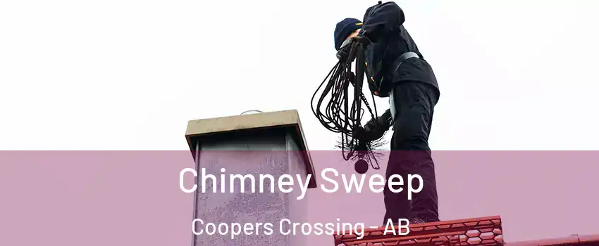  Chimney Sweep Coopers Crossing - AB