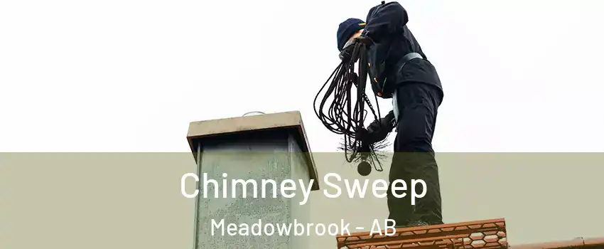  Chimney Sweep Meadowbrook - AB