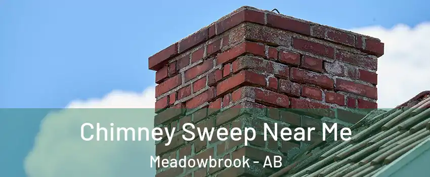  Chimney Sweep Near Me Meadowbrook - AB