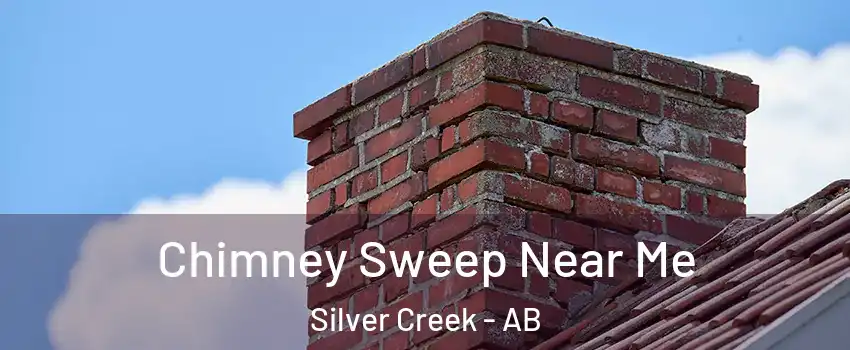  Chimney Sweep Near Me Silver Creek - AB
