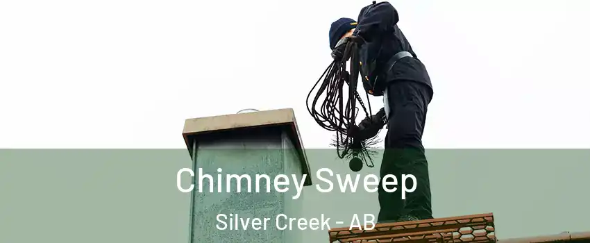  Chimney Sweep Silver Creek - AB