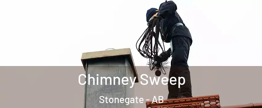  Chimney Sweep Stonegate - AB