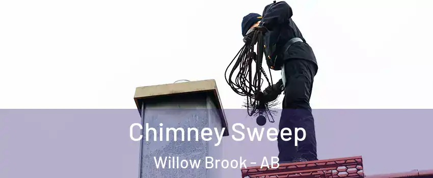  Chimney Sweep Willow Brook - AB