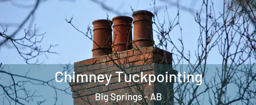  Chimney Tuckpointing Big Springs - AB