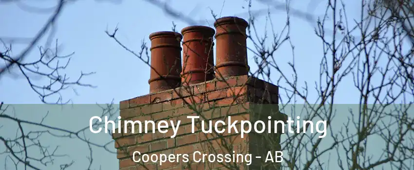  Chimney Tuckpointing Coopers Crossing - AB