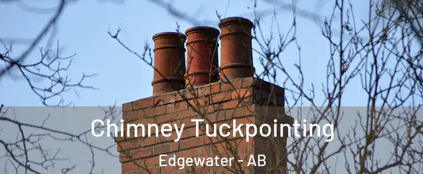  Chimney Tuckpointing Edgewater - AB