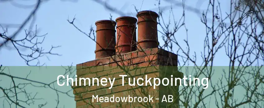  Chimney Tuckpointing Meadowbrook - AB