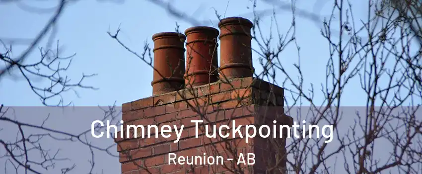  Chimney Tuckpointing Reunion - AB
