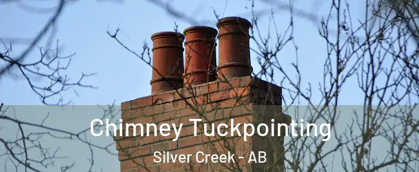  Chimney Tuckpointing Silver Creek - AB