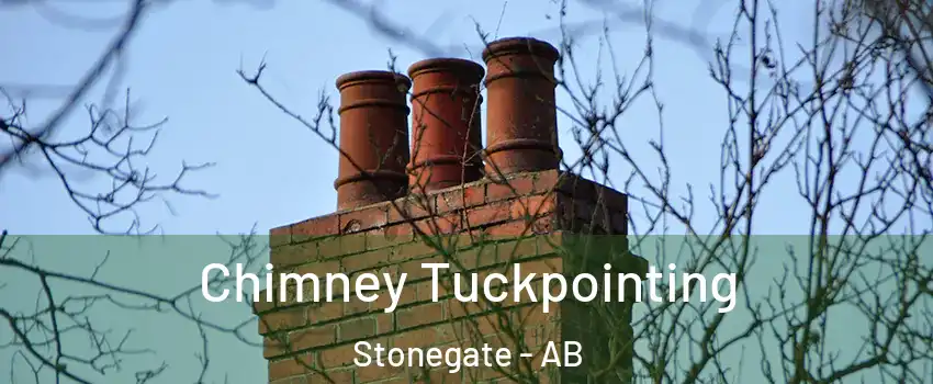  Chimney Tuckpointing Stonegate - AB